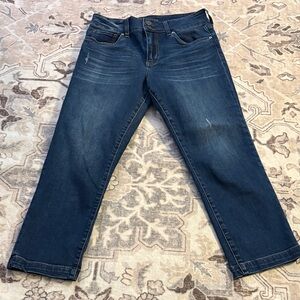 KUT from the Kloth Dark Blue Denim Jeans size 4 ankle